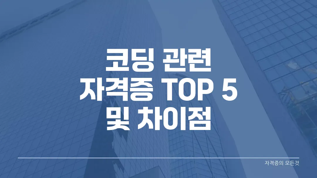 코딩 관련 자격증 TOP 5 핵심 비교와 차이점 정리