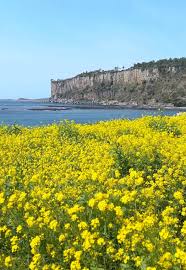 관련 여행지 사진이미지