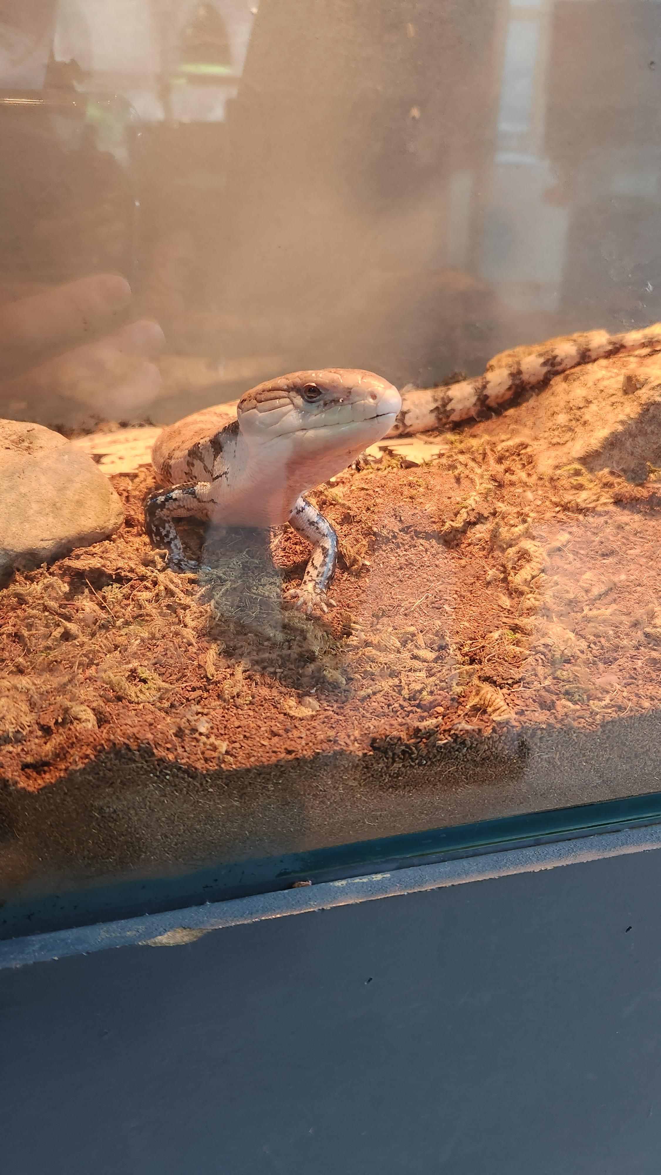 대구-네이처파크