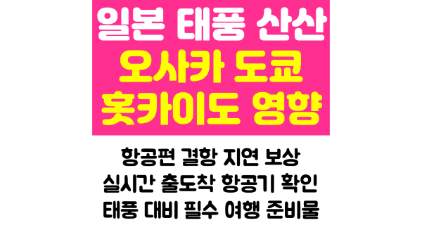 일본-태풍-오사카-도쿄-홋카이도-태풍-산산-영향-항공편-결항-지연-보상-일본-출발-도착-항공기-실시간-확인-태풍-대비-여행-준비물