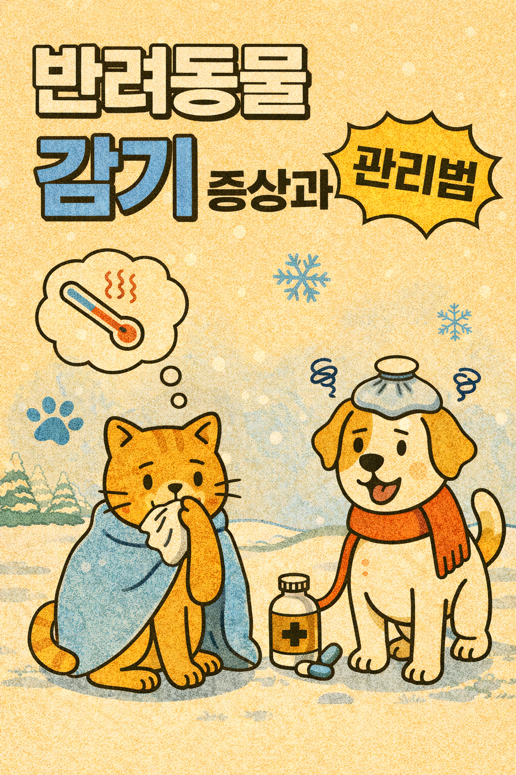 반려동물 감기 증상과 관리법 관련사진