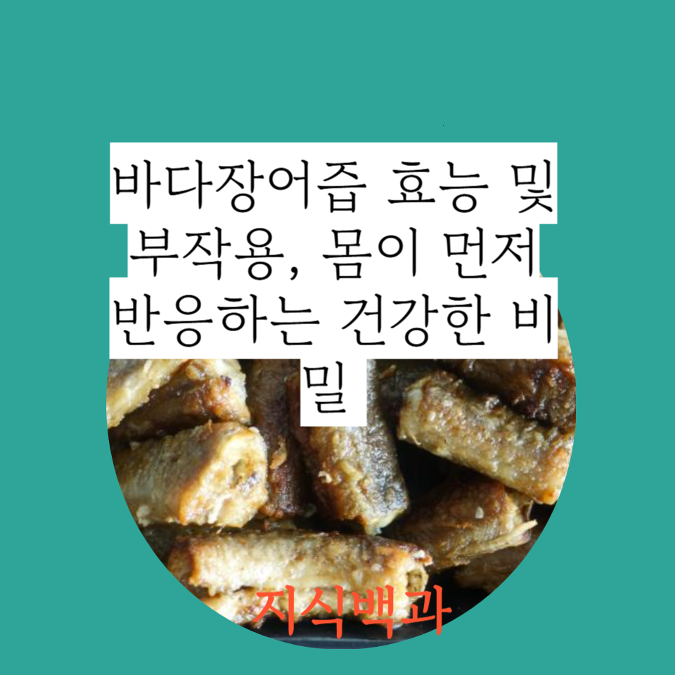 바다장어즙 효능 및 부작용, 몸이 먼저 반응하는 건강한 비밀 🌊