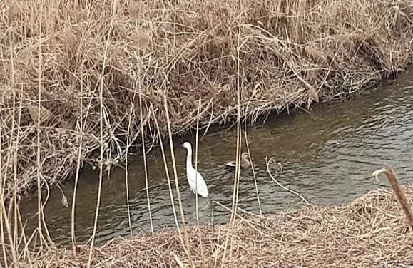낙동강45-3공구프리테니스장