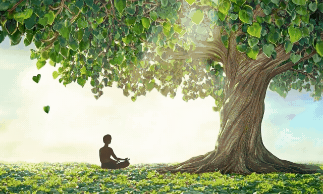 행운.돈벼락.금전운