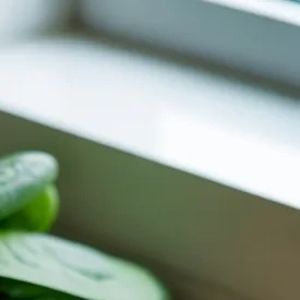 이명에좋은음식 이미지