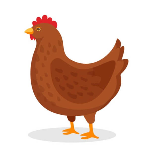 닭띠와안맞는띠범띠 닭띠와안맞는띠호랑이띠