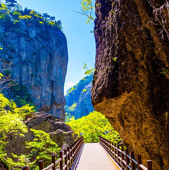 숙박 세일 페스타 3만원 할인쿠폰 국내여행 할인 혜택 총정리