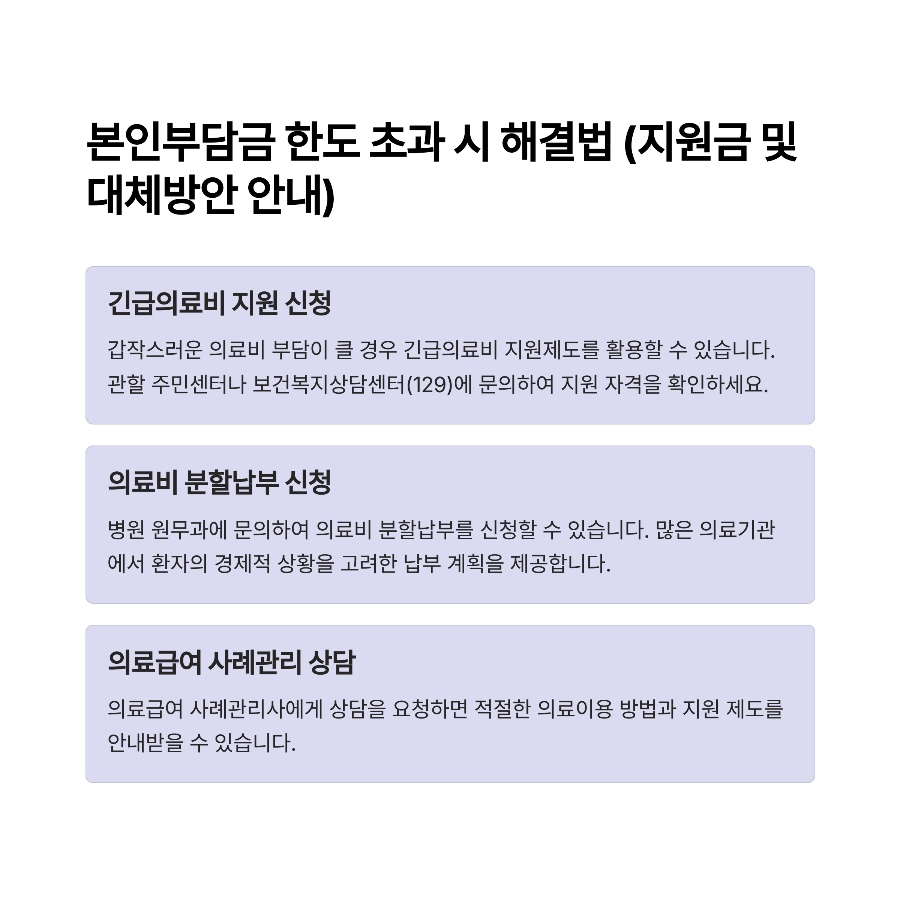 본인부담금 한도 초과 시 해결법 (지원금 및 대체방안 안내)