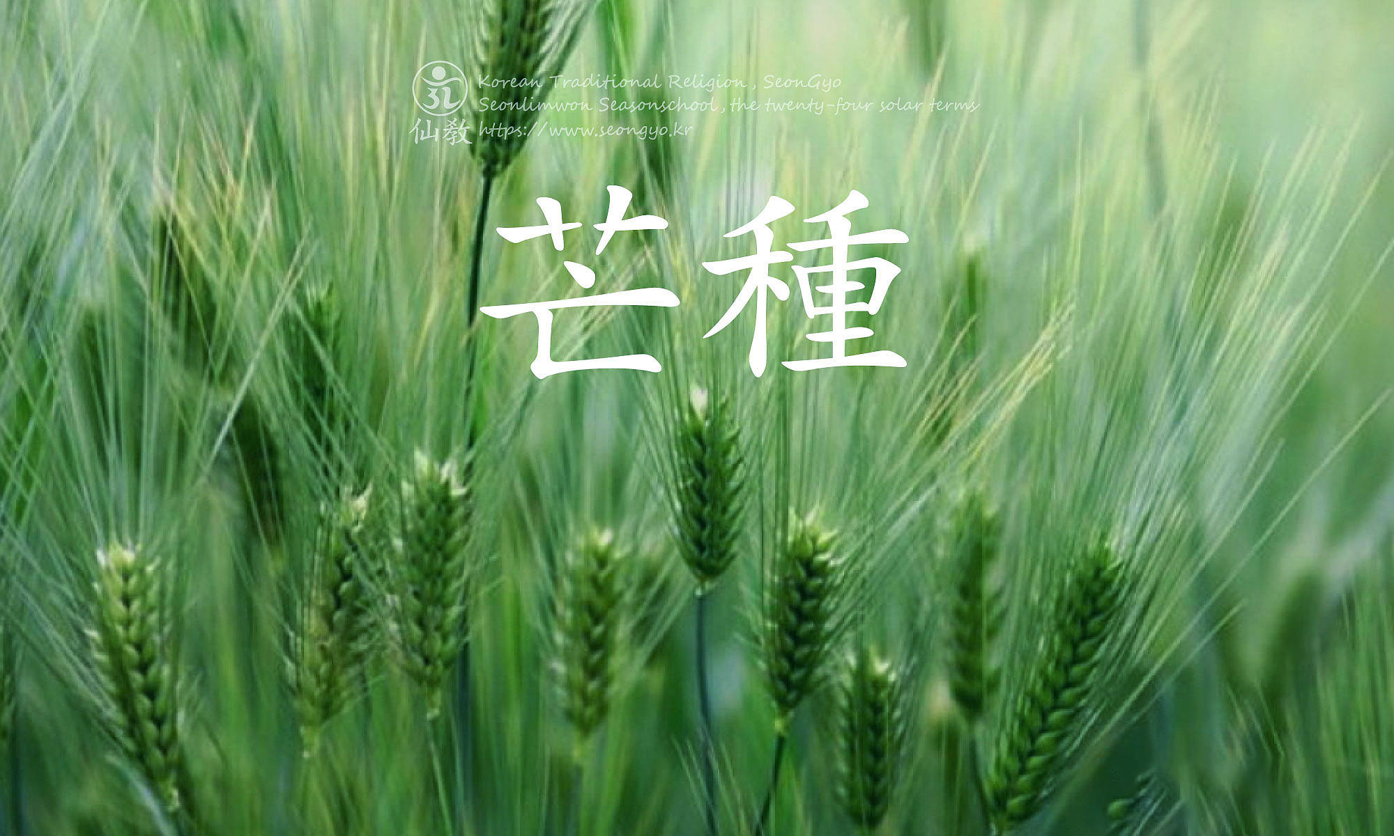 24절기 망종, 선도수행, 절기명상