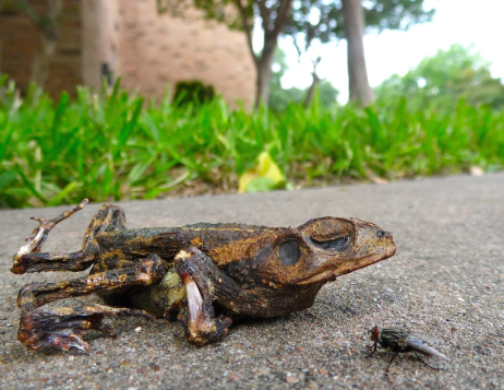 야생동물 발견 시, 먼저 해야 할 일은?