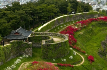 고창 청농원 라벤더 축제 주변2