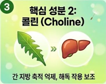 민들레 효능