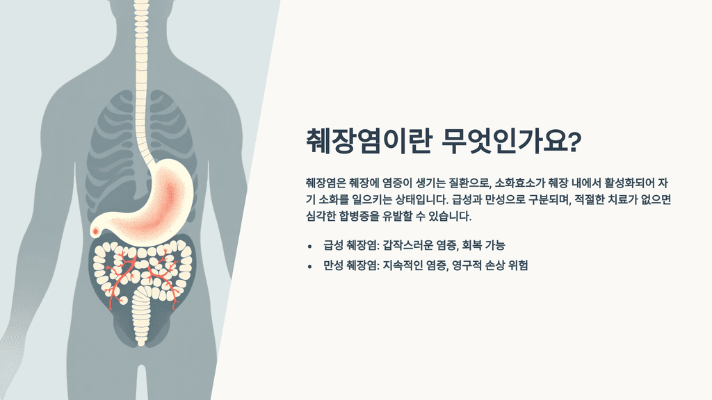췌장염이란 무엇인가요?