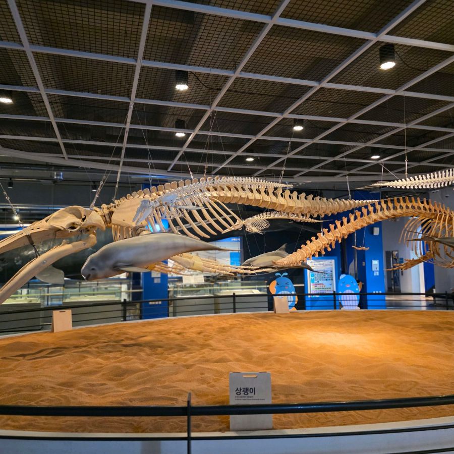 장생포고래박물관