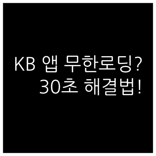 국민은행 앱 무한 로딩 및 검은 화면..