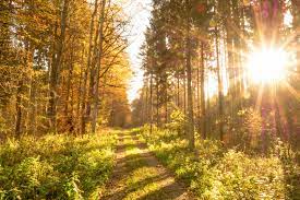 골다공증 치료와 예방