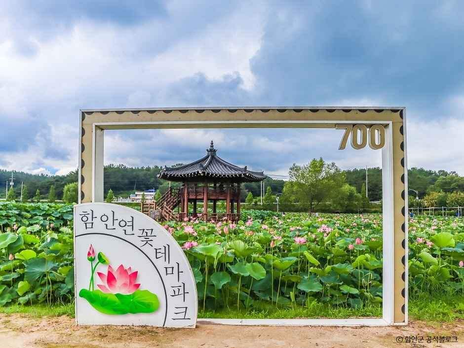 연꽃테마파크
