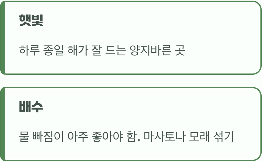 할머니가 좋아하는 자리