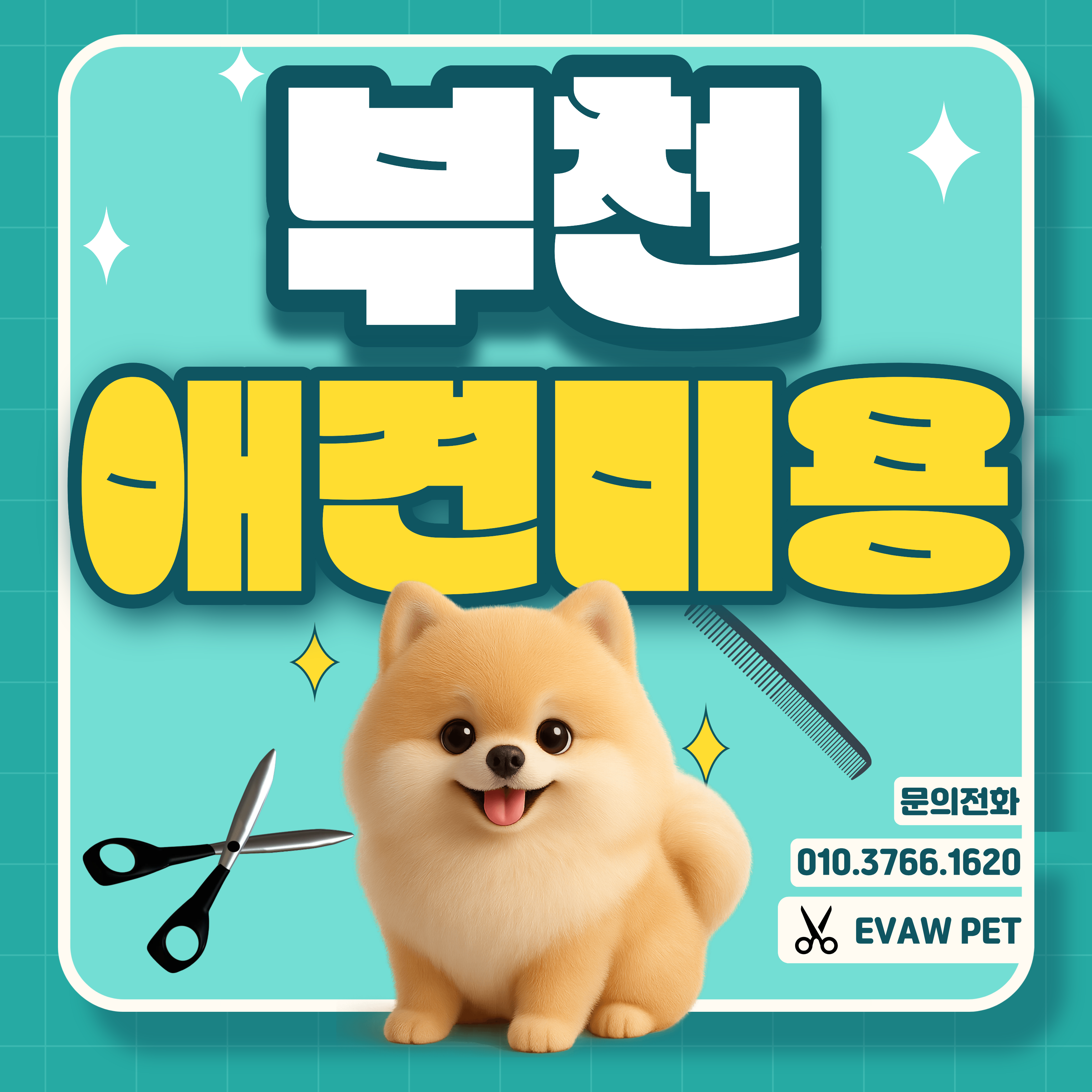 부천강아지미용학원