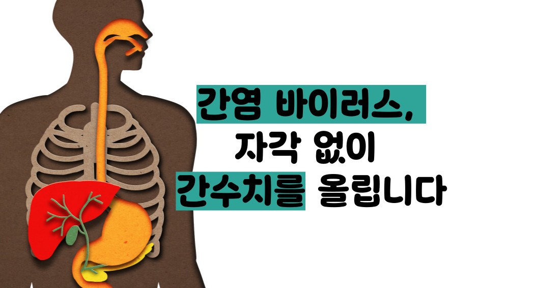 간수치가 올라가는 이유