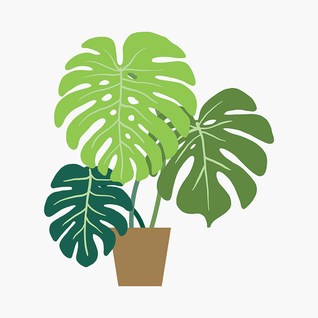 미니멀리즘 식물 인테리어