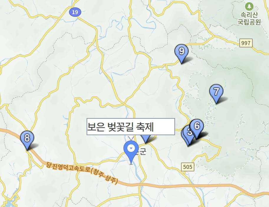 보은 벚꽃길 축제 2026 완벽 가이드