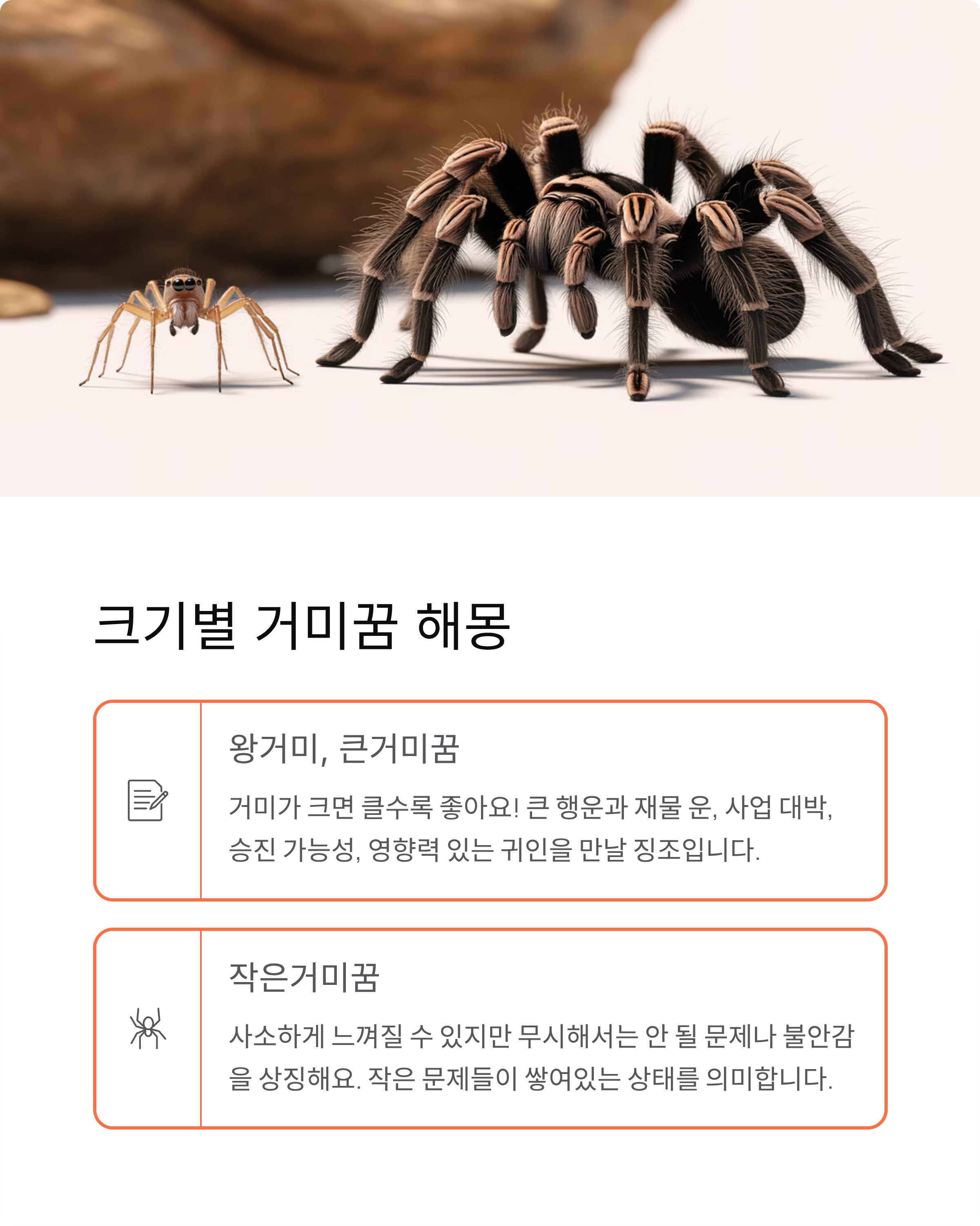 거미꿈 해몽 완벽 가이드