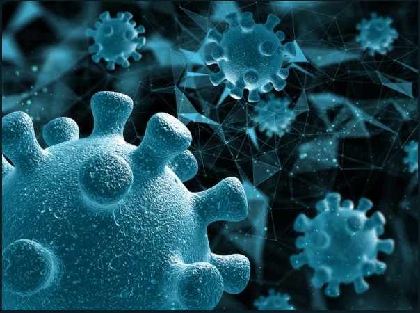 니파 바이러스 증상·치명률·여행 주의사항