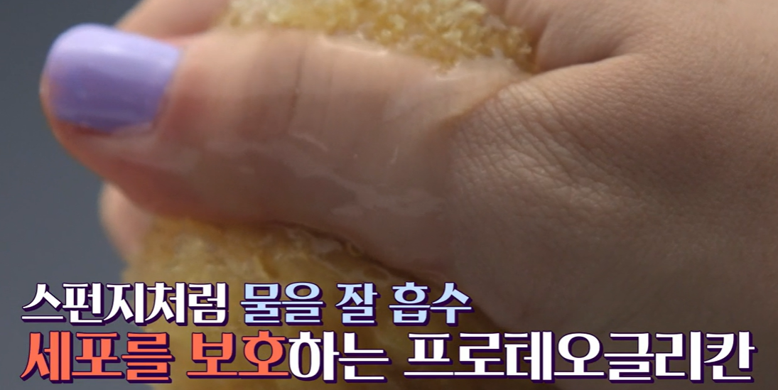 프로테오글리칸