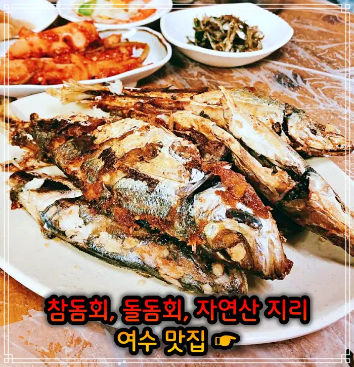 생방송 투데이 전남 여수 참돔회, 돌돔회 맛집