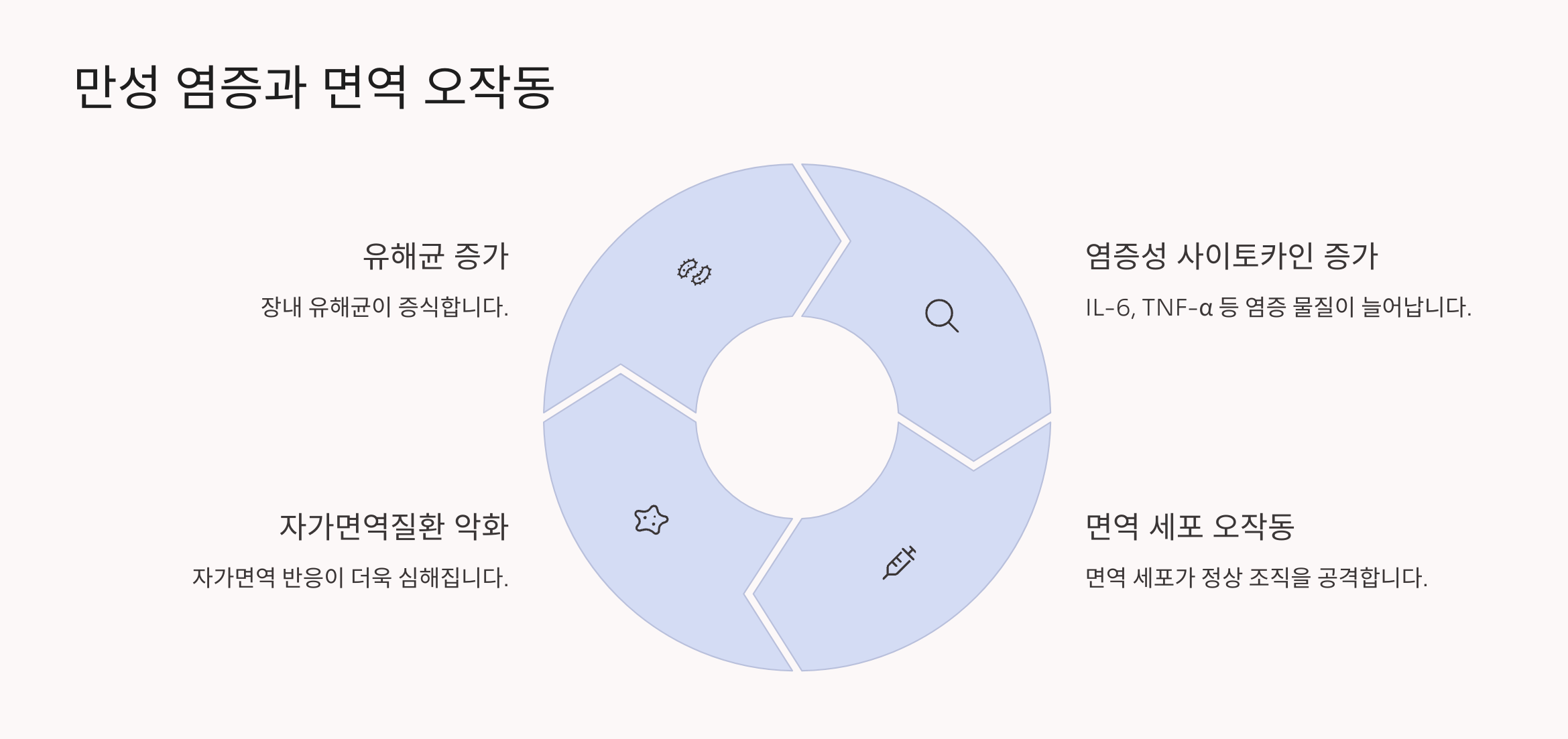 장내 유해균 증가로 인한 염증성 사이토카인과 면역세포 오작동, 자가면역질환의 관계를 정리한 그래픽
