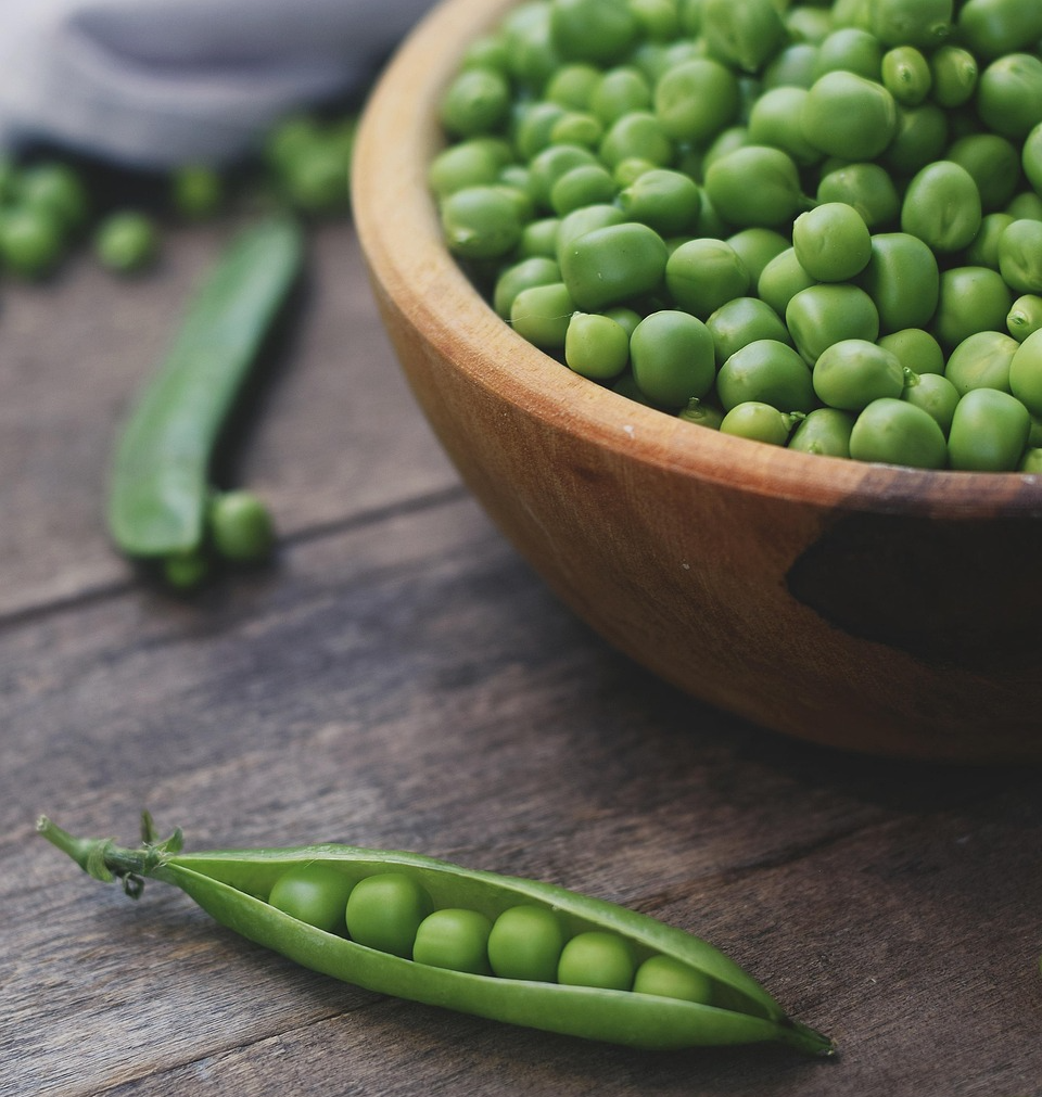 초록색 꼬투리 안에 동글동글하고 매끄러운 완두콩 알갱이가 나란히 들어있는 모습