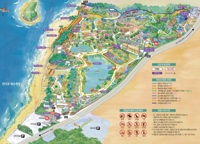 천리포수목원 목련축제