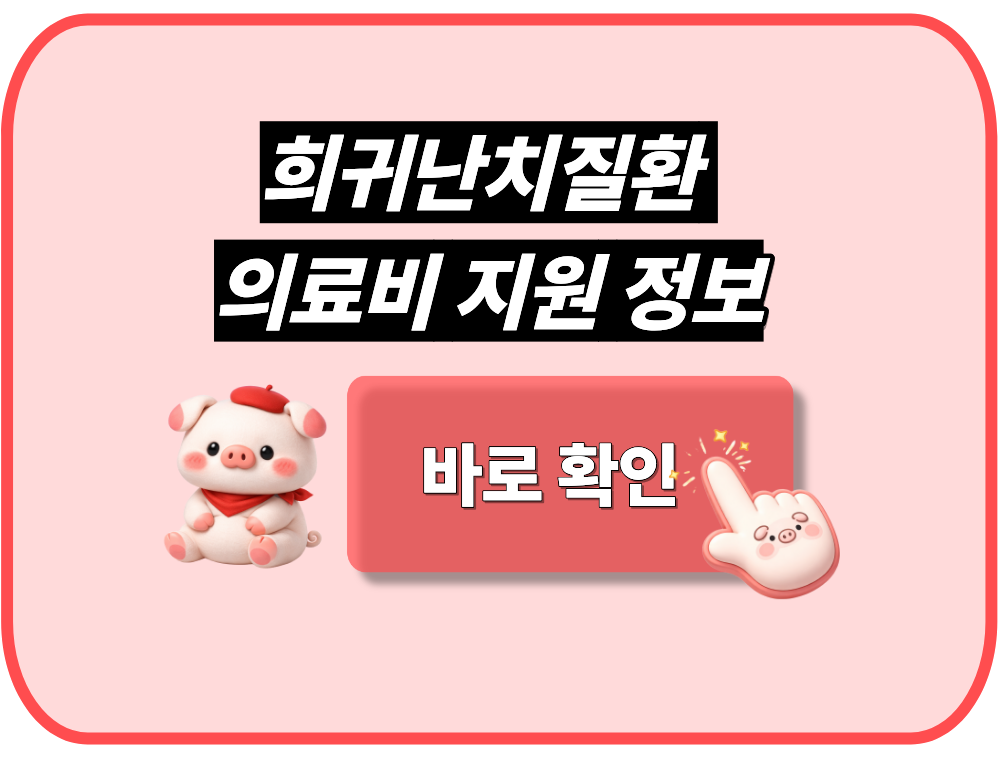 희귀난치성질환 의료비 지원 정보