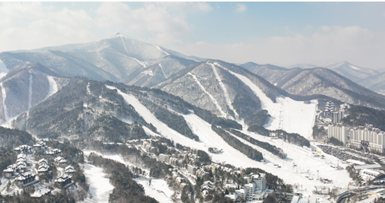 스키장 개장일정