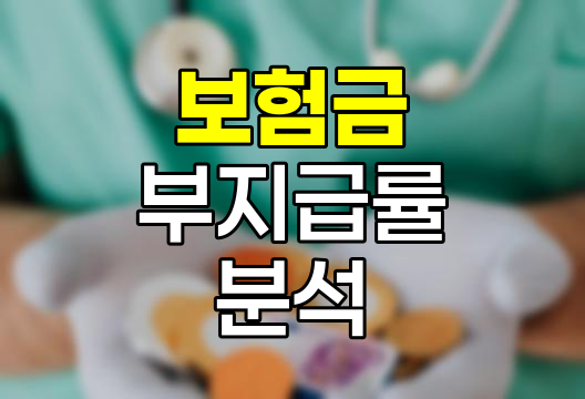 보험금 부지급률과 보험사 선택의 핵심