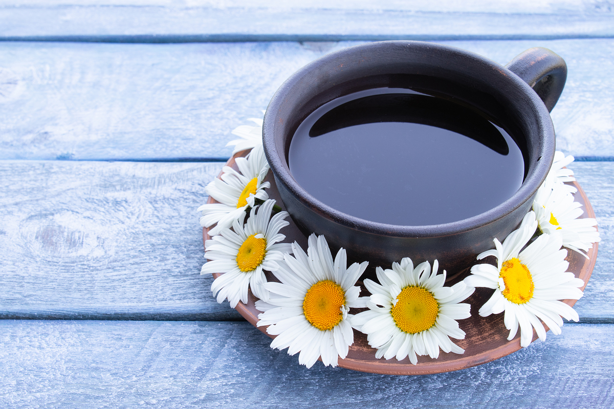 캐모마일차 효능