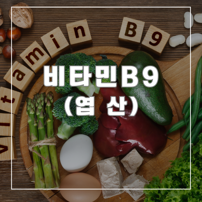 비타민 B9 (엽산)