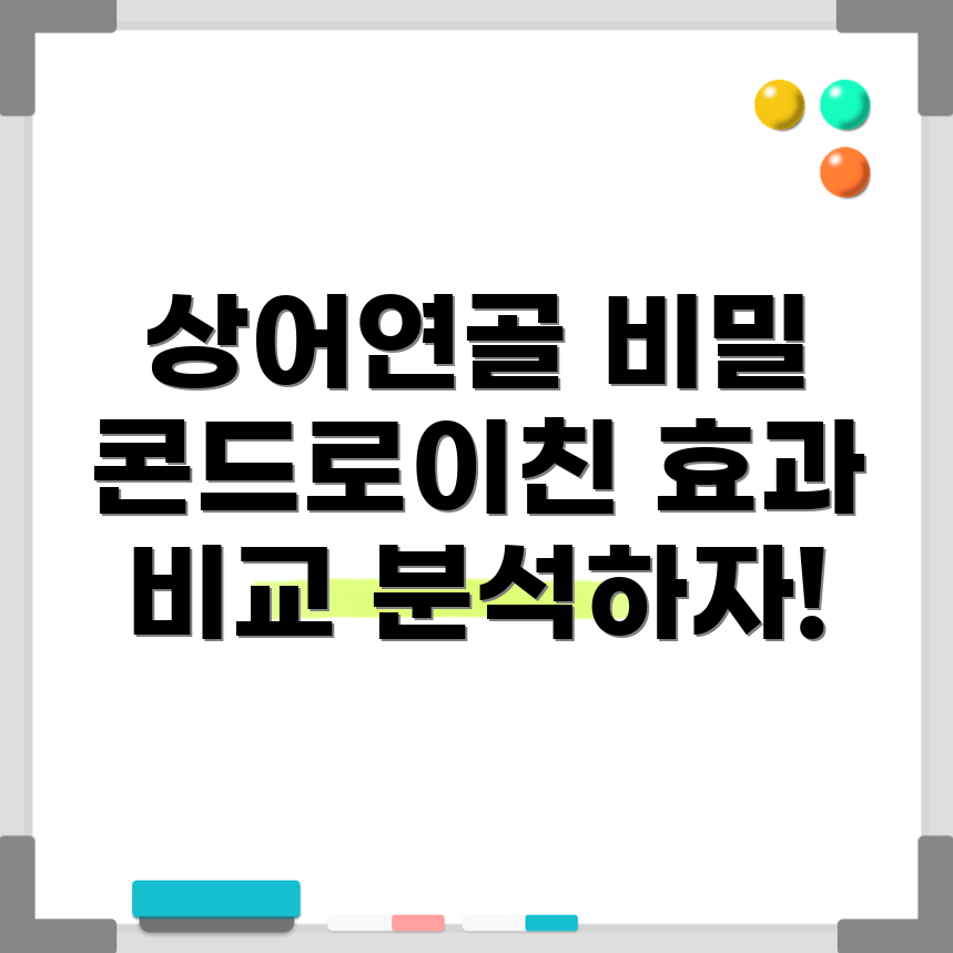 콘드로이친
