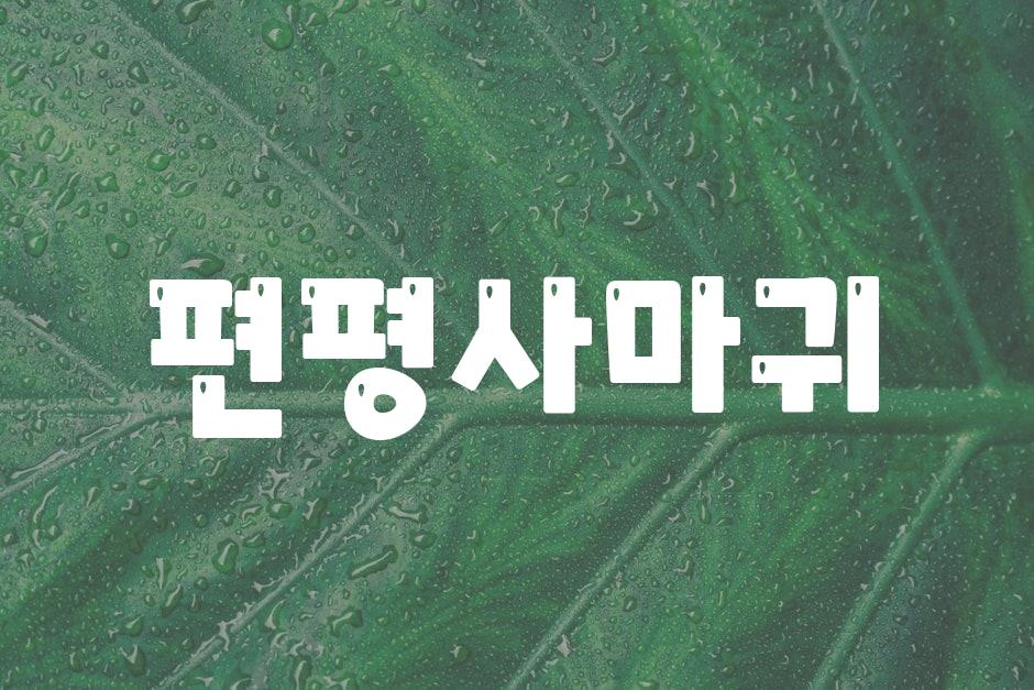 샘플 (44)