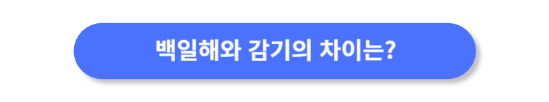 버튼