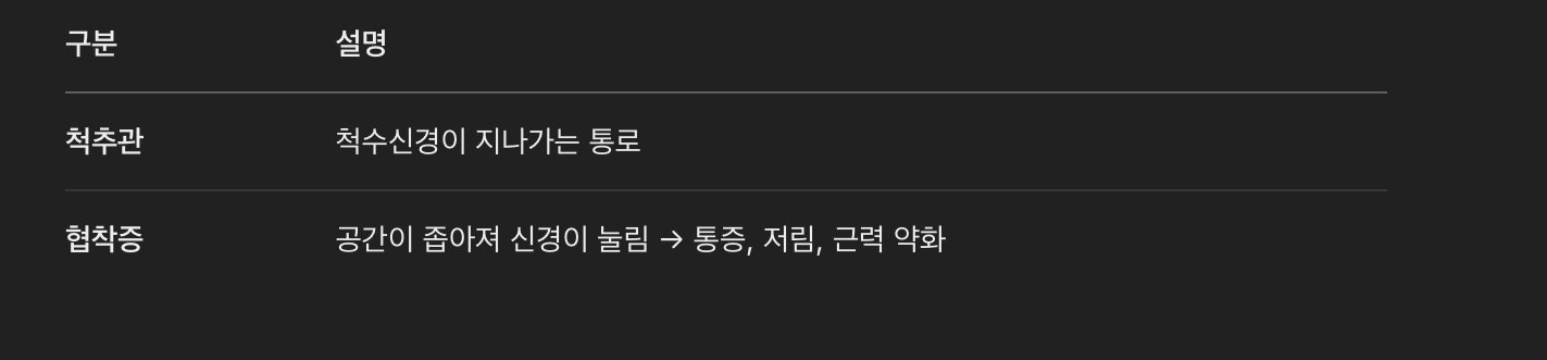 척추관 협착증이란