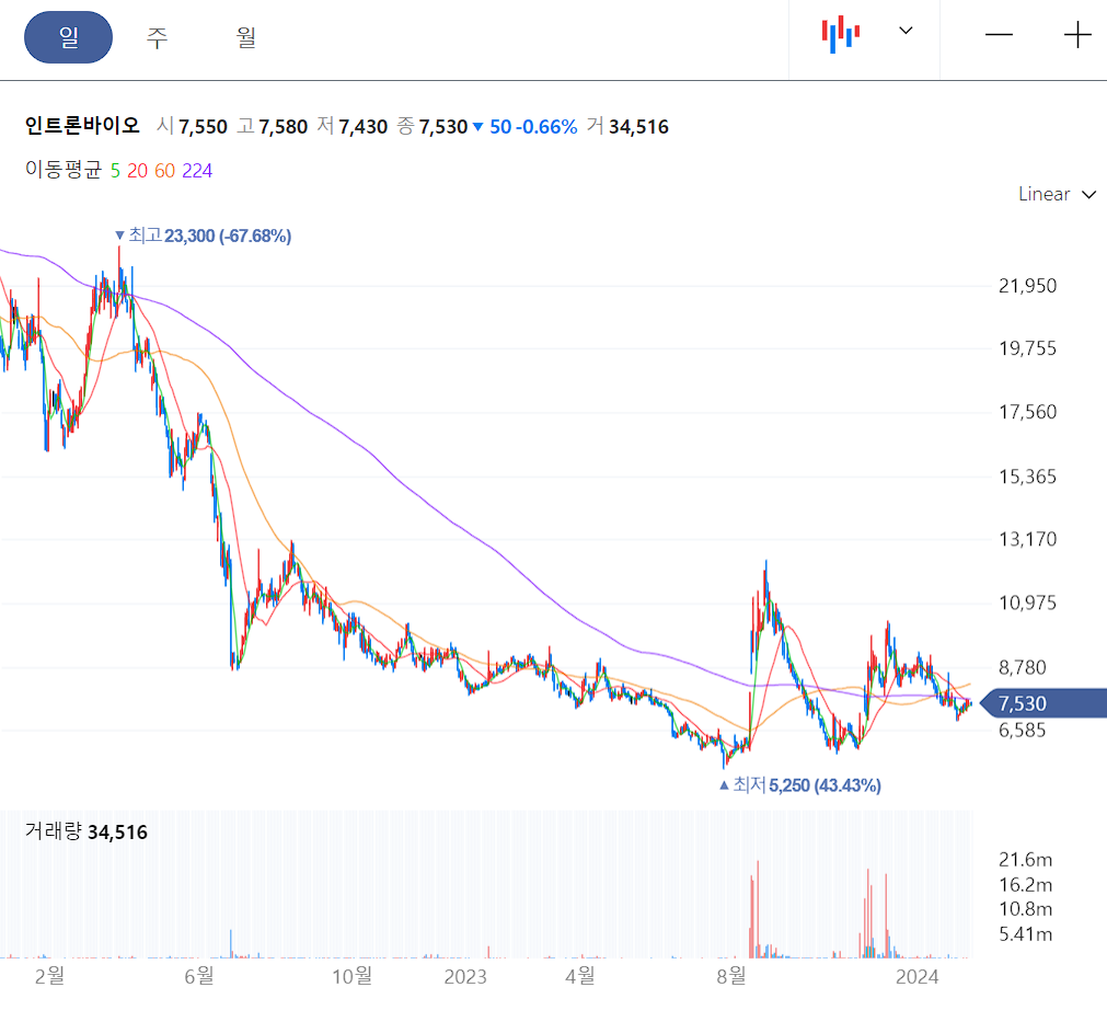 유전자가위 관련주 인트론바이오 일봉 차트
