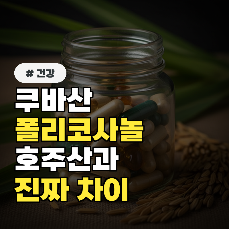 쿠바산 폴리코사놀이 더 좋을까 호주산과 진짜 차이 3가지