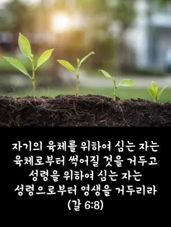 갈라디아서 6장 14절 묵상 십자가의 자랑_18