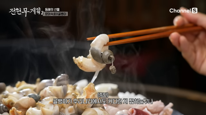 생골뱅이 숙회