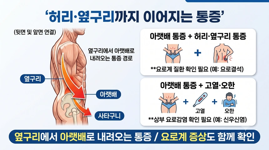 허리 옆구리 아랫배로 이어지는 통증 설명 사진