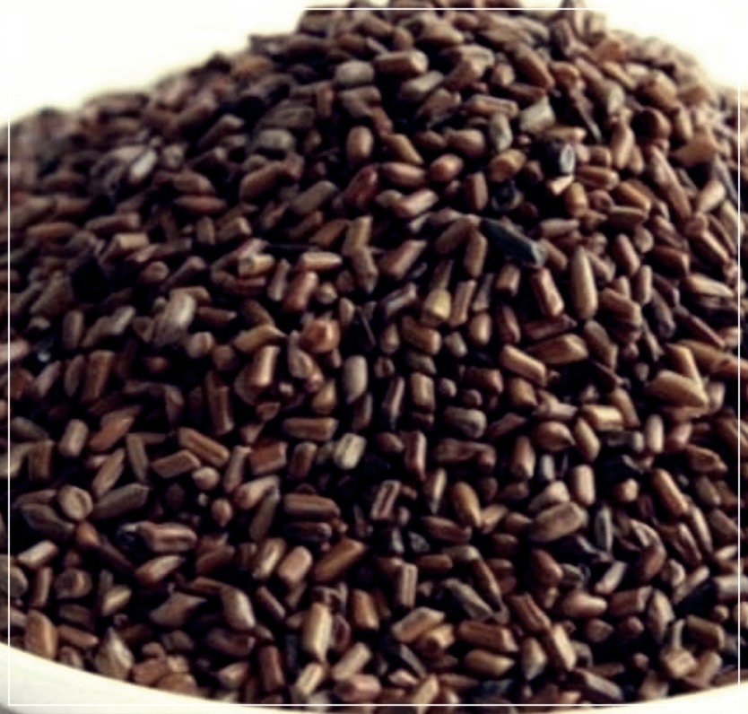 결명자의 효능, 부작용 및 섭취 방법