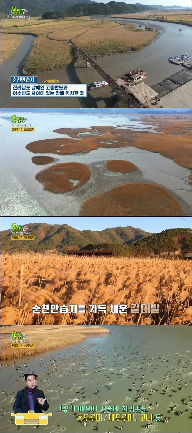 순천만습지
