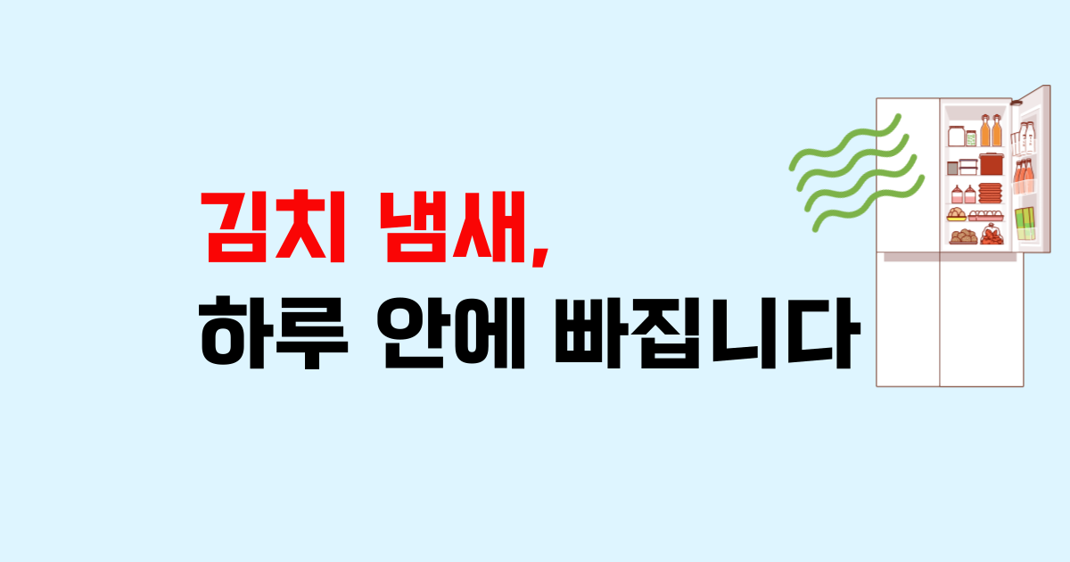 냉장고 김치 냄새, 이 방법 쓰면 하루 안에 빠집니다